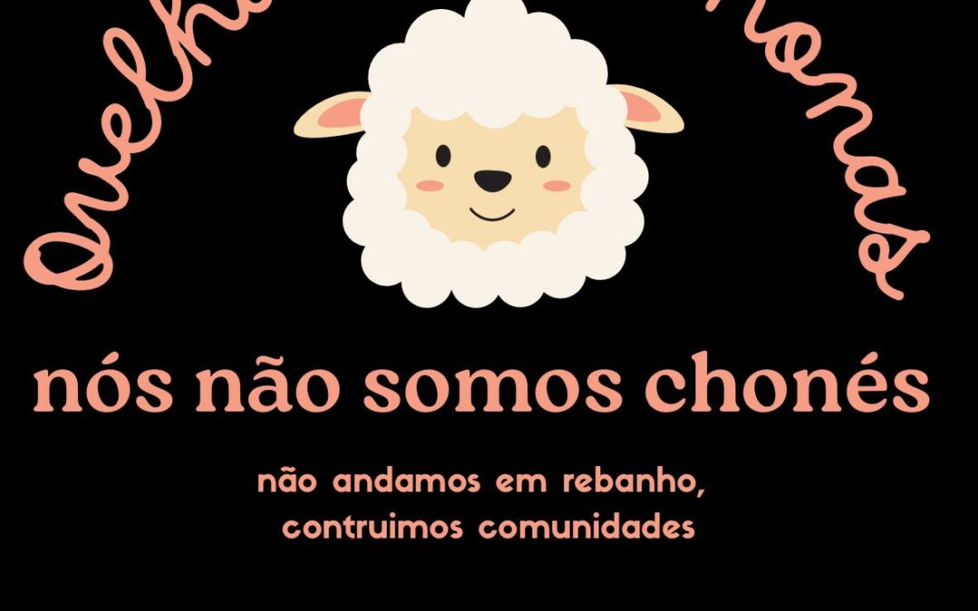 Coleção “Ovelhas Sabichonas”