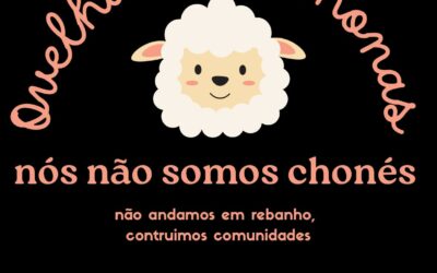 Coleção “Ovelhas Sabichonas”